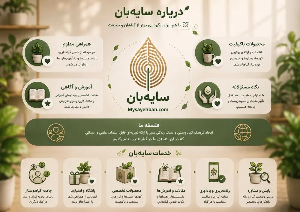sayeban info